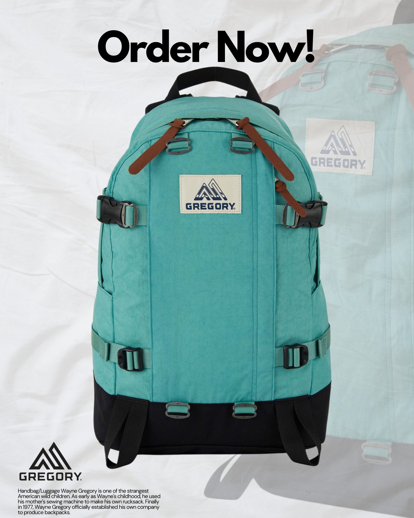 GREGORY CLASSIC 22L OCEAN GREEN