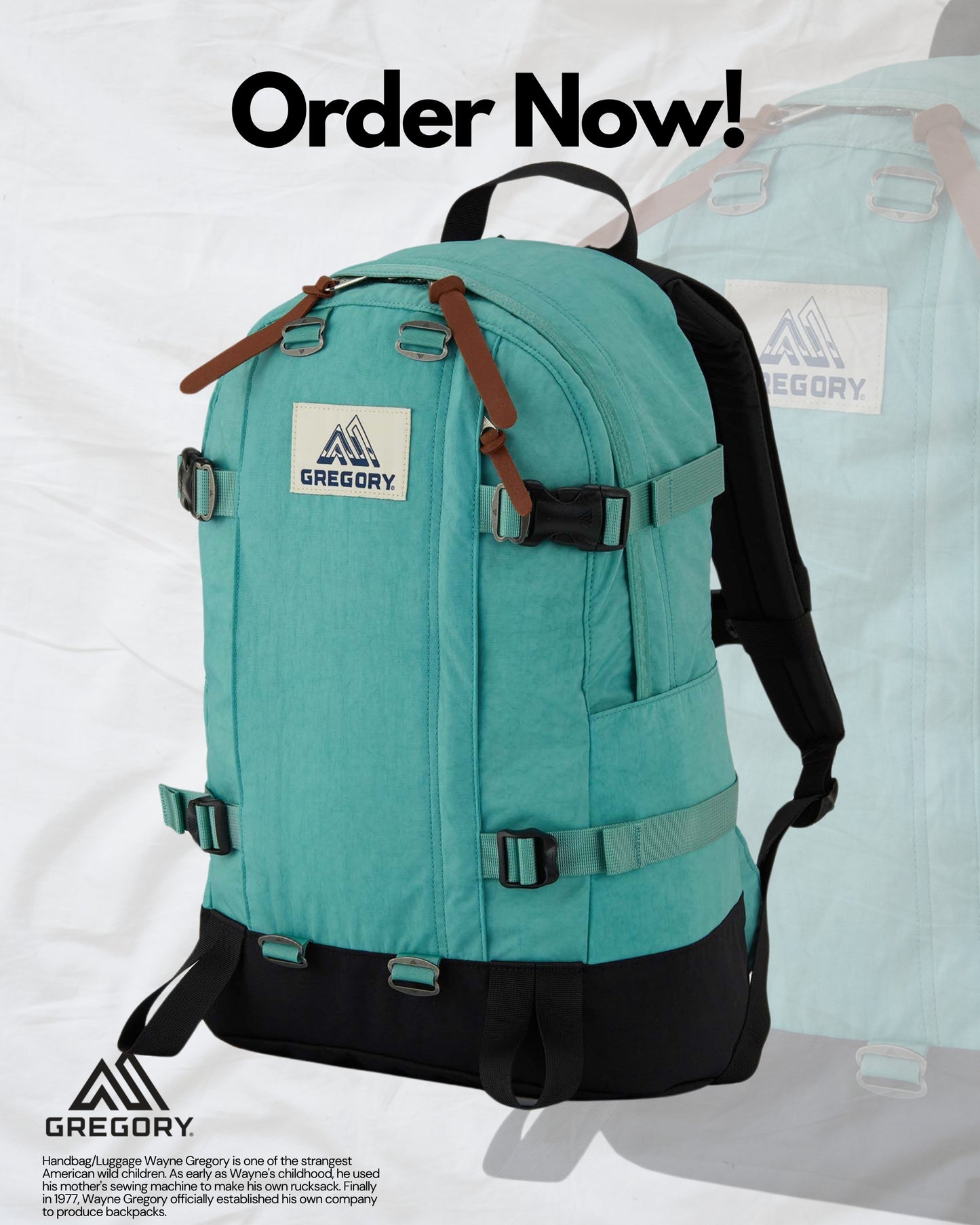 GREGORY CLASSIC 22L OCEAN GREEN