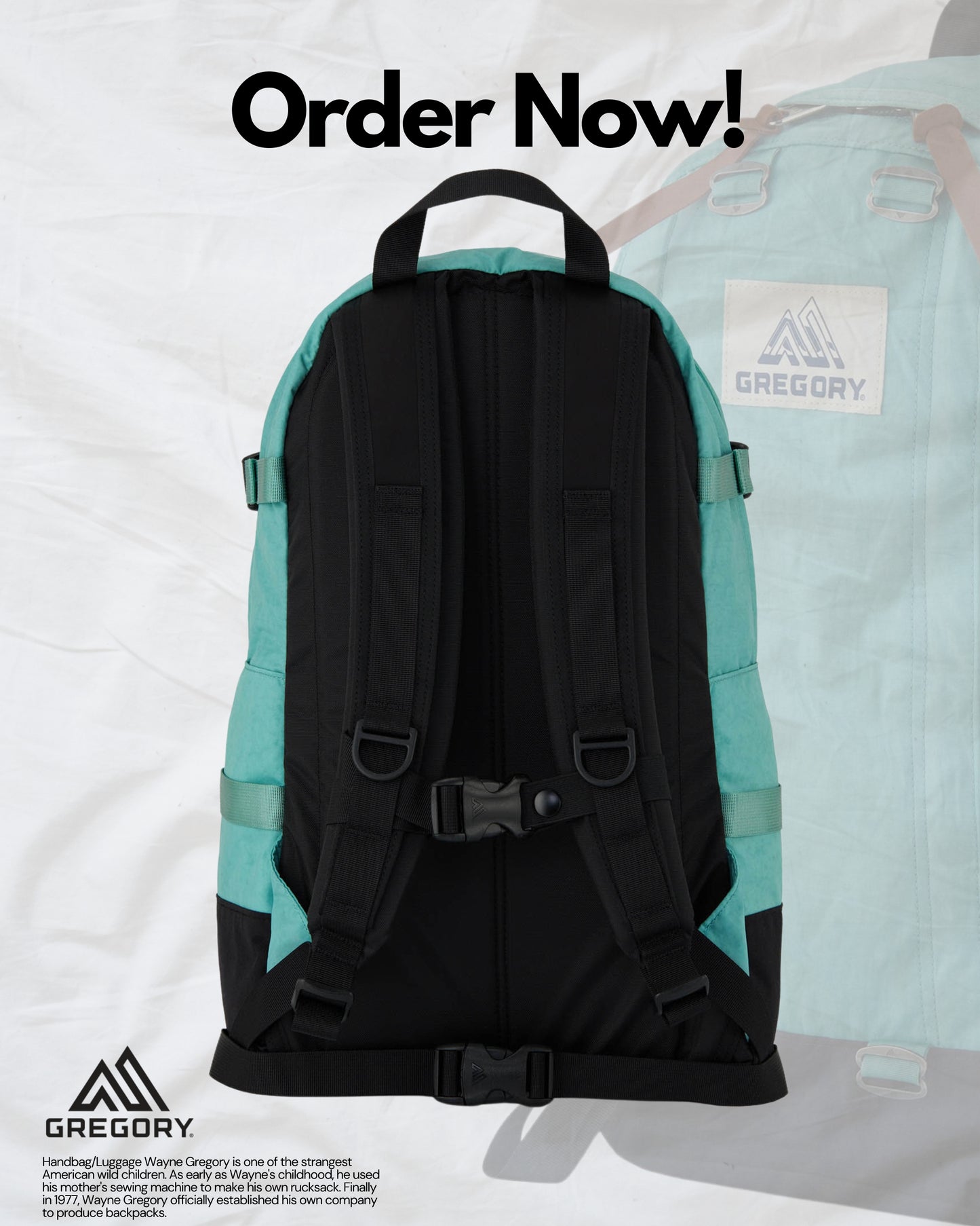 GREGORY CLASSIC 22L OCEAN GREEN