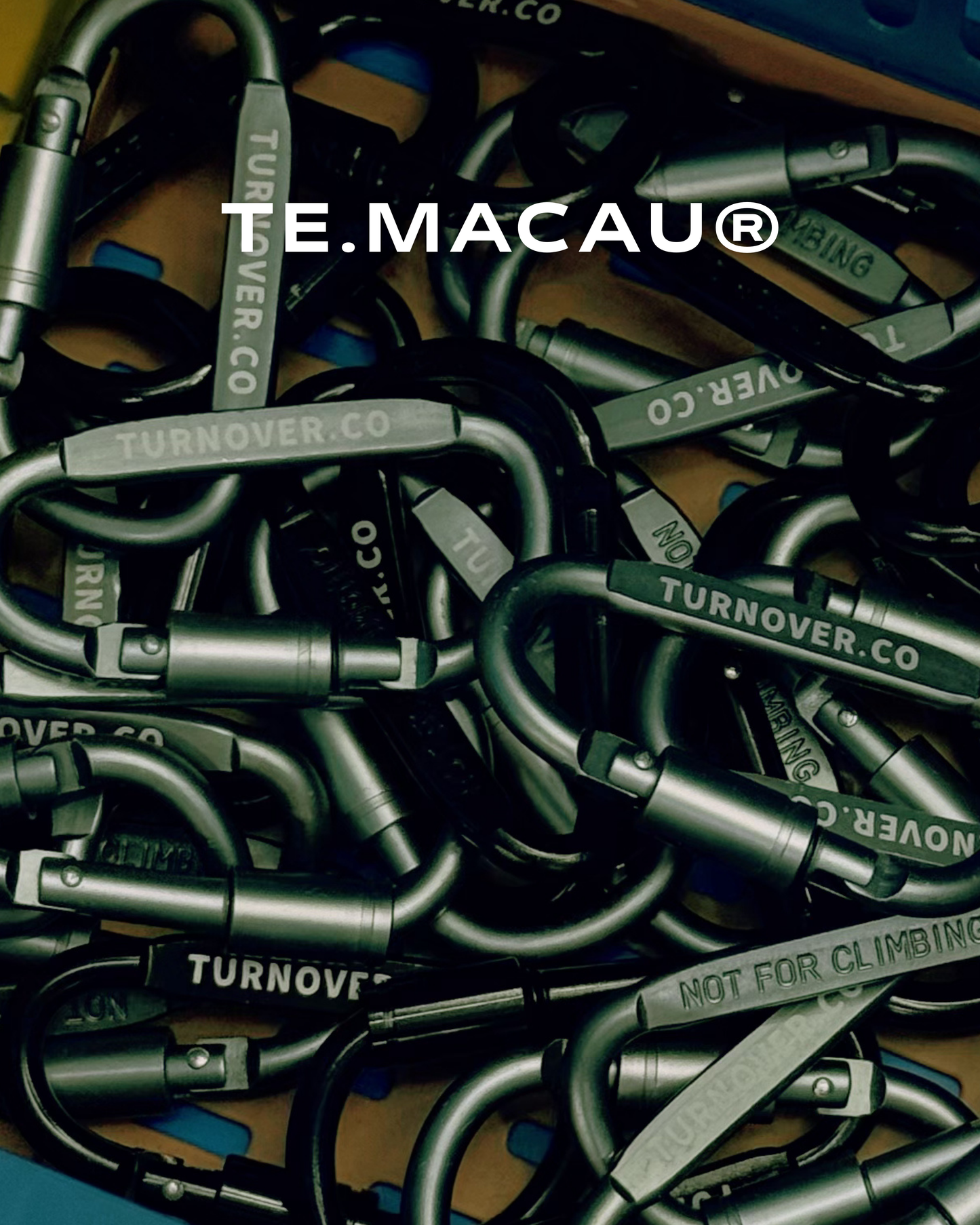 TURNOVER CARABINER 登山扣
