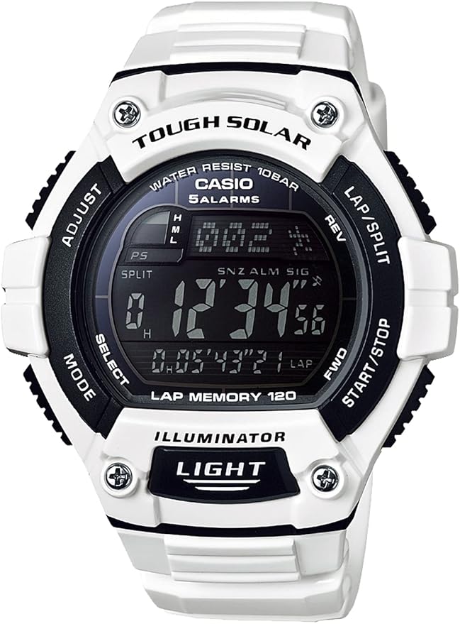 casio