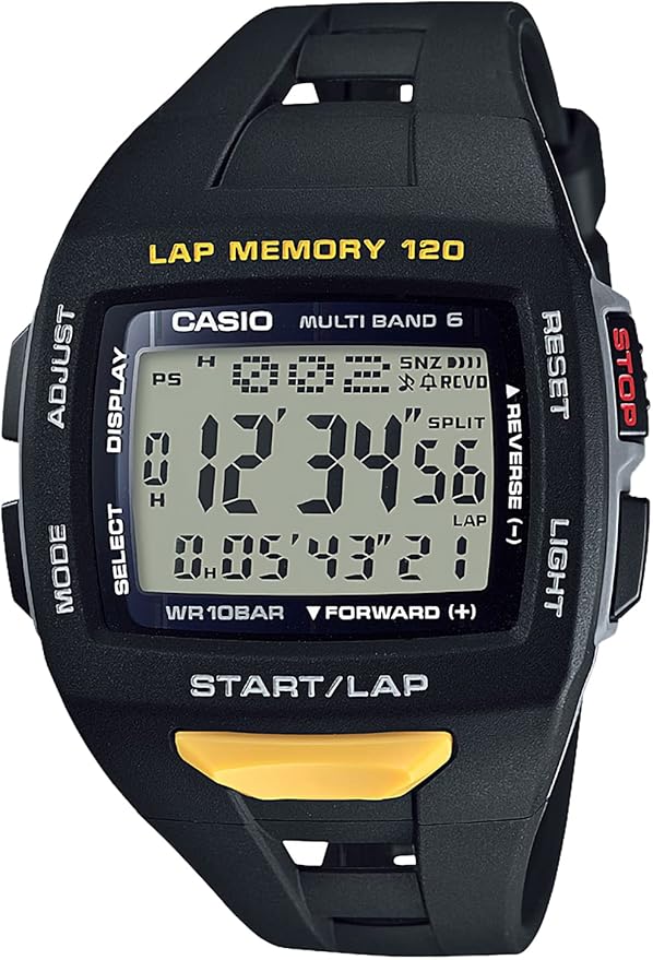 casio