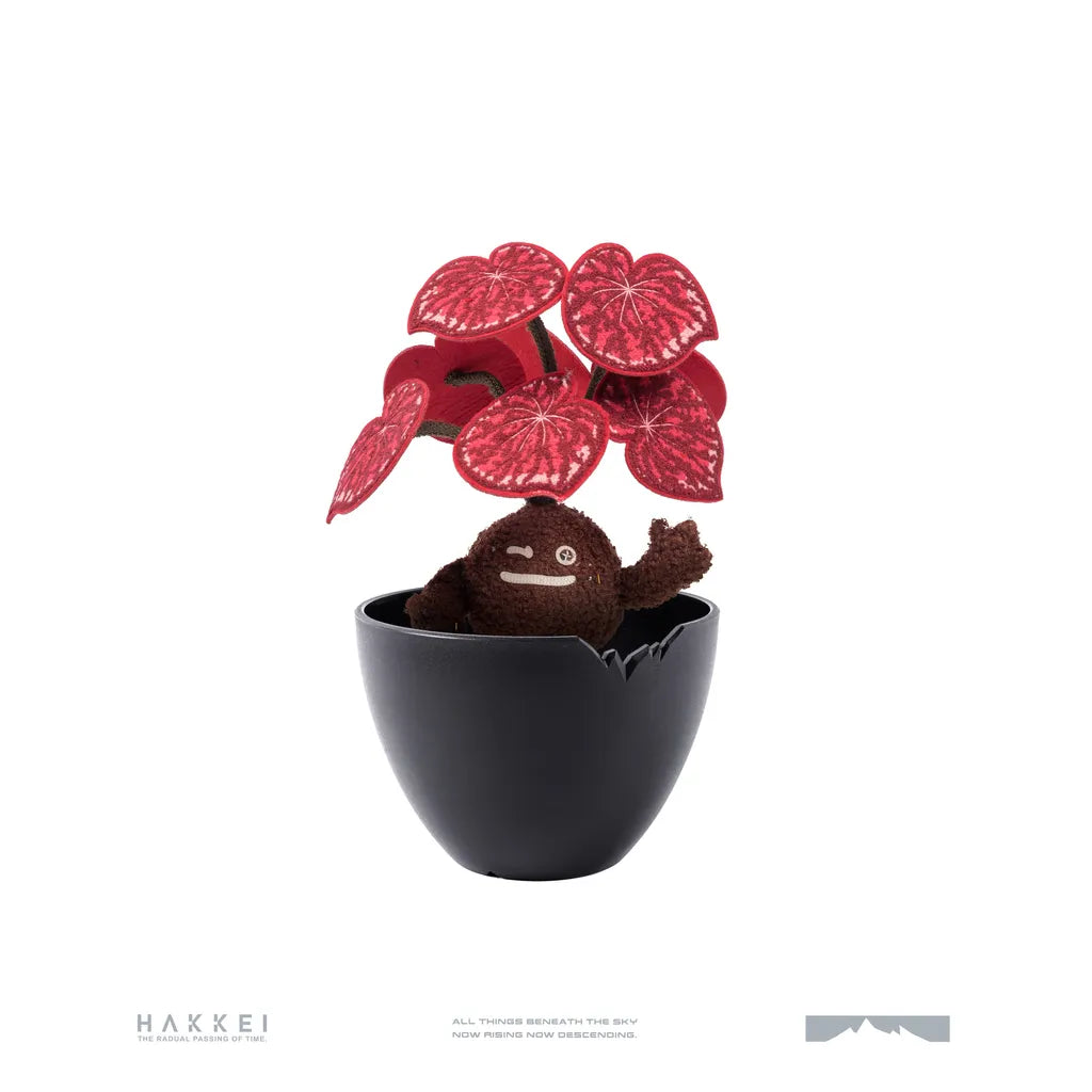 Hakkei 糖果海棠豆吉