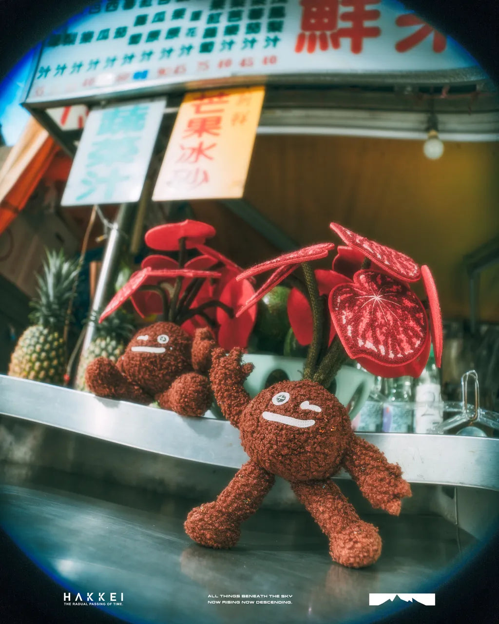 Hakkei 糖果海棠豆吉