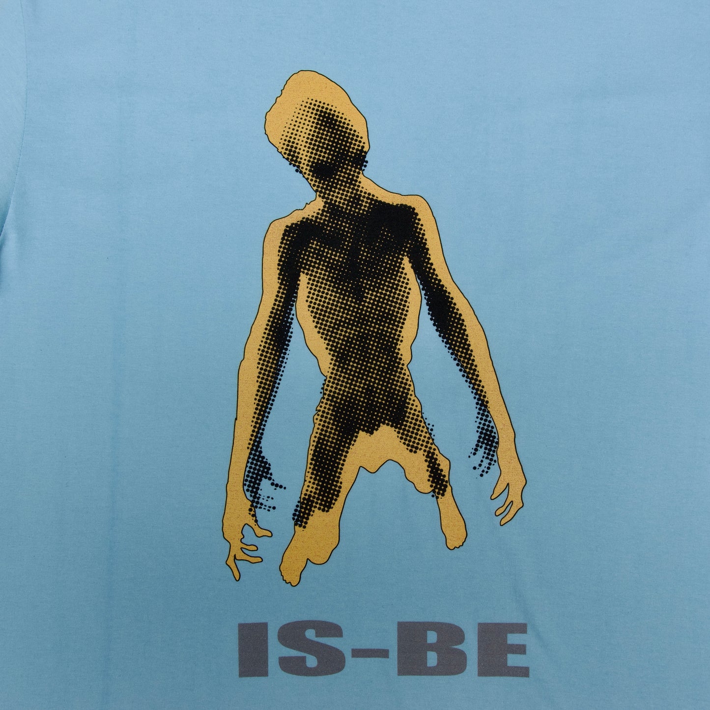 Mystery Covering
IS-BE Tee