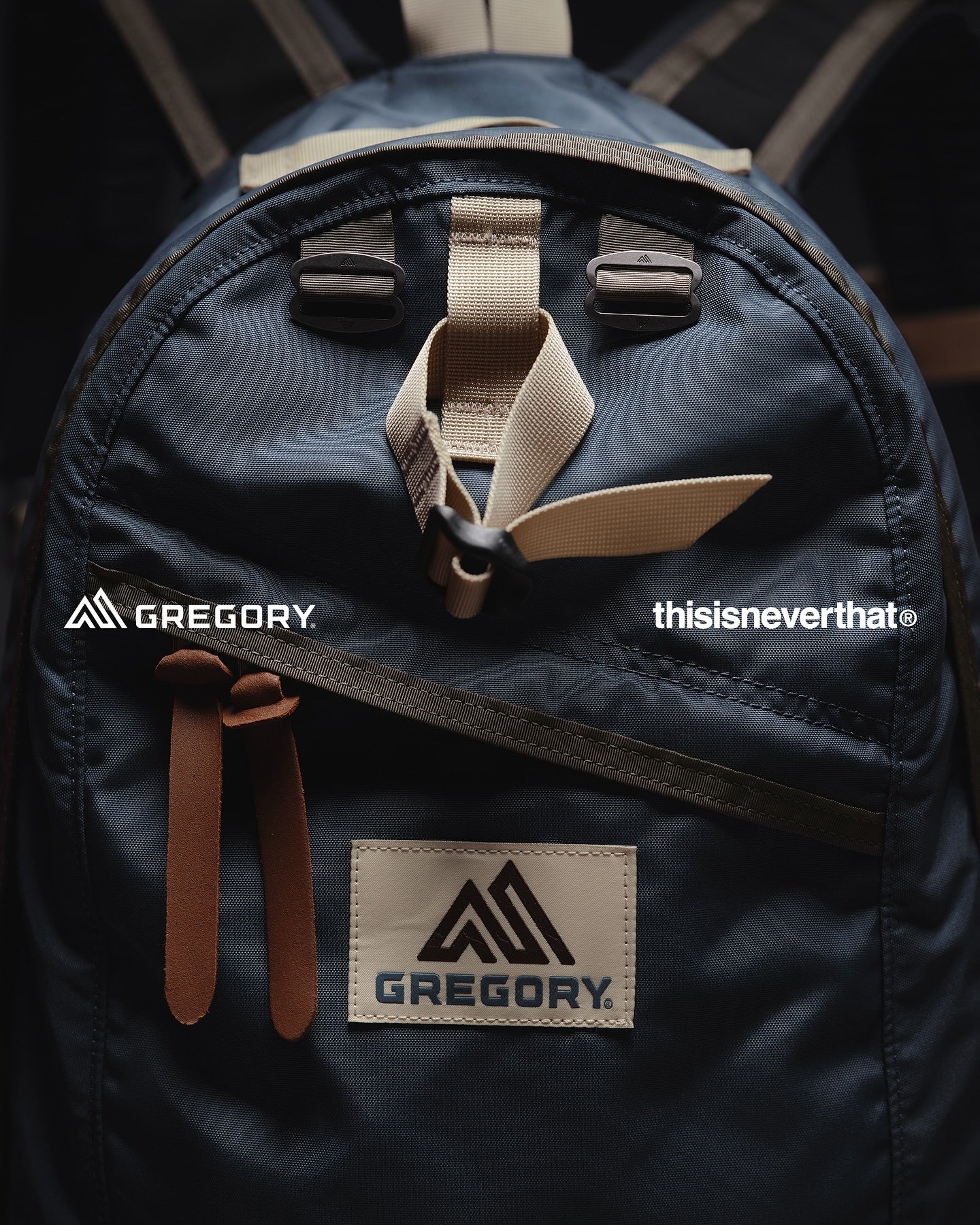 GREGORY × thisisneverthat® 26L