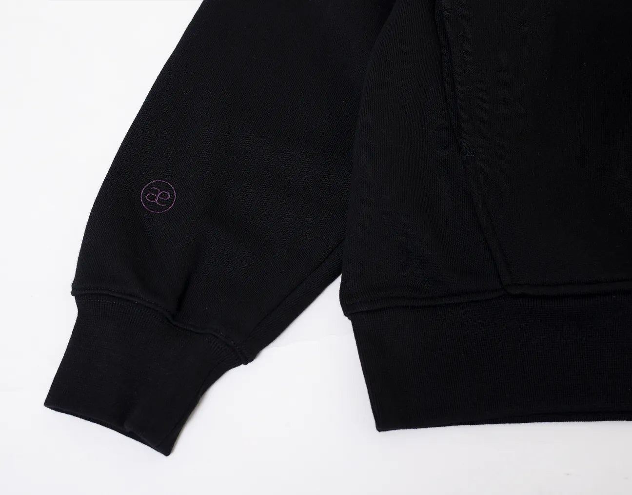 ANST 重磅刺繡毛圈帽T 882441
