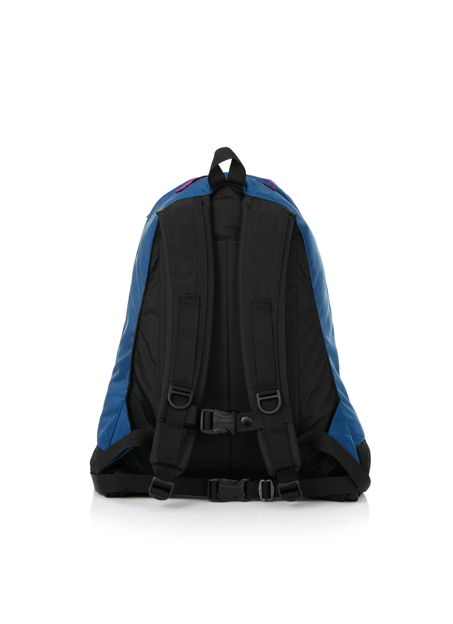 Gregory day pack Blue Grass/Purple 26L